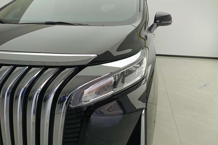Used Wey Gaoshan 2023 Four-Wheel Drive Flagship Edition Left Front Headlight