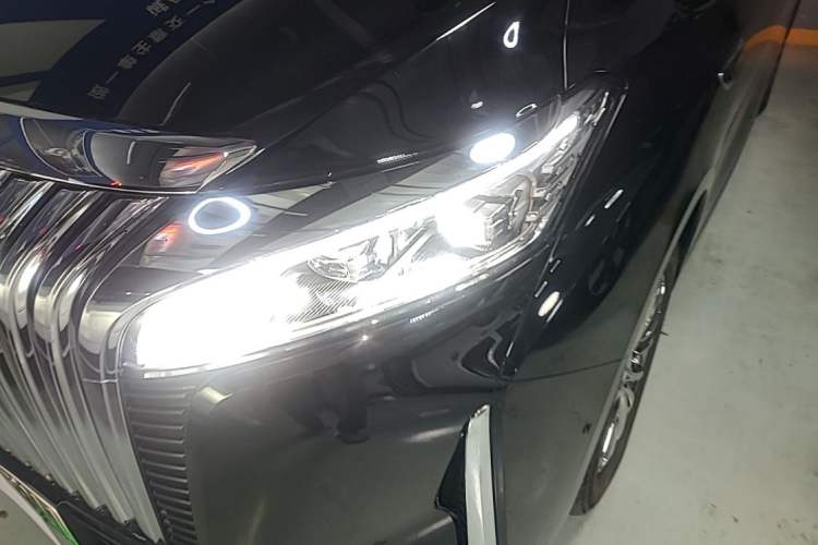 Used Wey Gaoshan 2023 Four-Wheel Drive Premium Edition Left Front Headlight