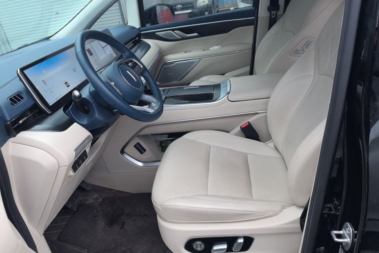 Used Wey Gaoshan 2023 Four-Wheel Drive Flagship Edition Left Front Seat