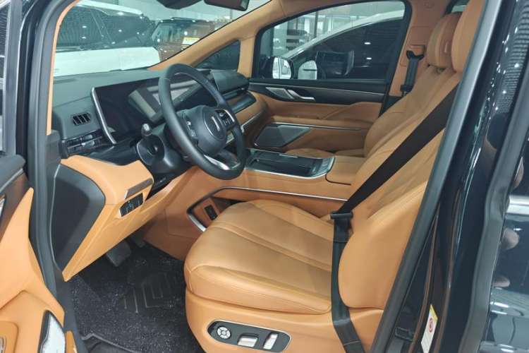 Used Wey Gaoshan 2023 Four-Wheel-Drive Executive Extended Version Left Front Seat