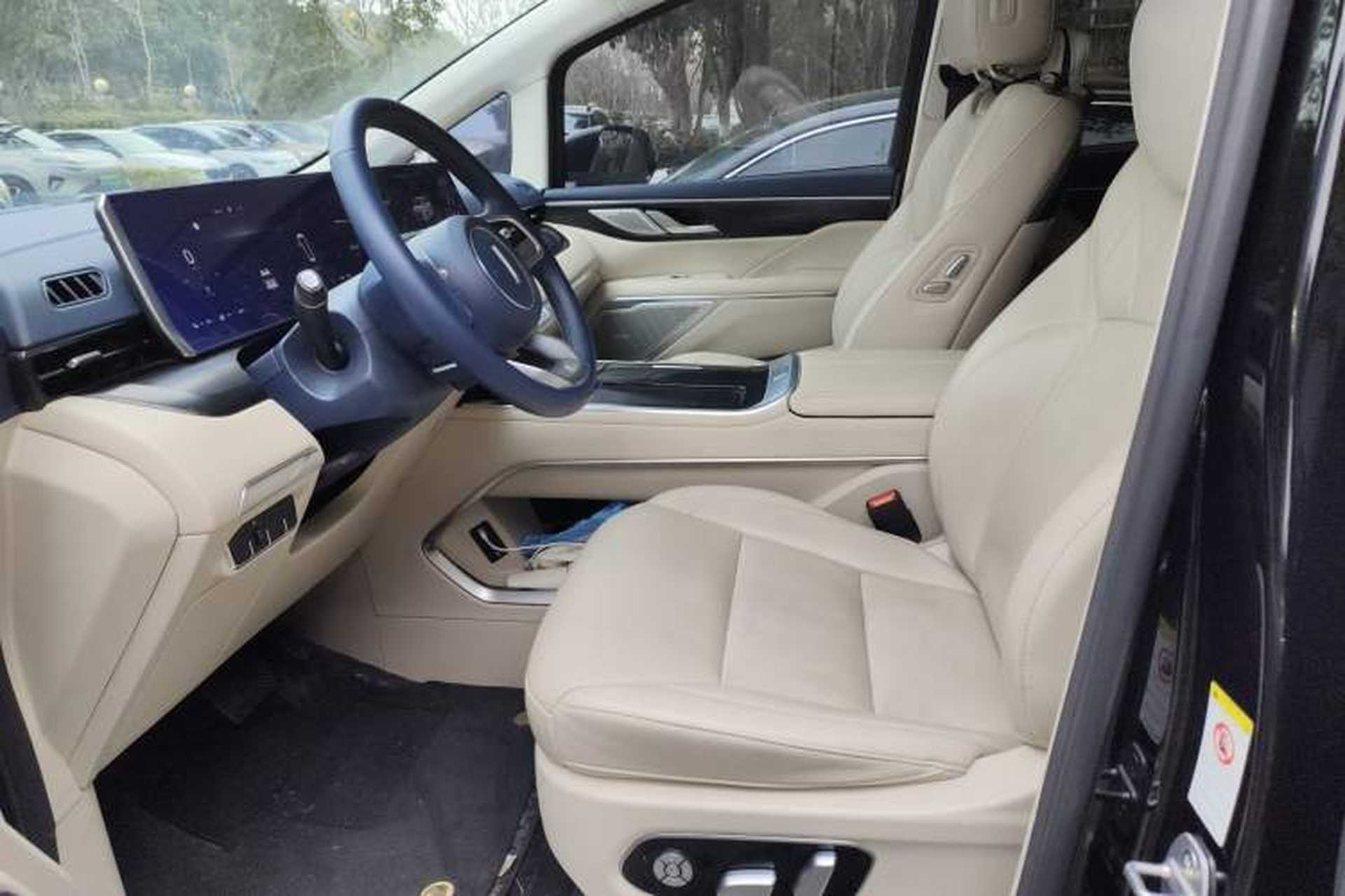Used Wey Gaoshan 2023 Four-Wheel Drive Flagship Edition Left Front Seat