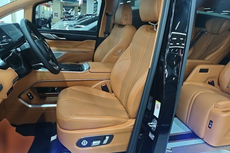 Used Wey Gaoshan 2023 Four-Wheel-Drive Executive Extended Version Left Front Seat