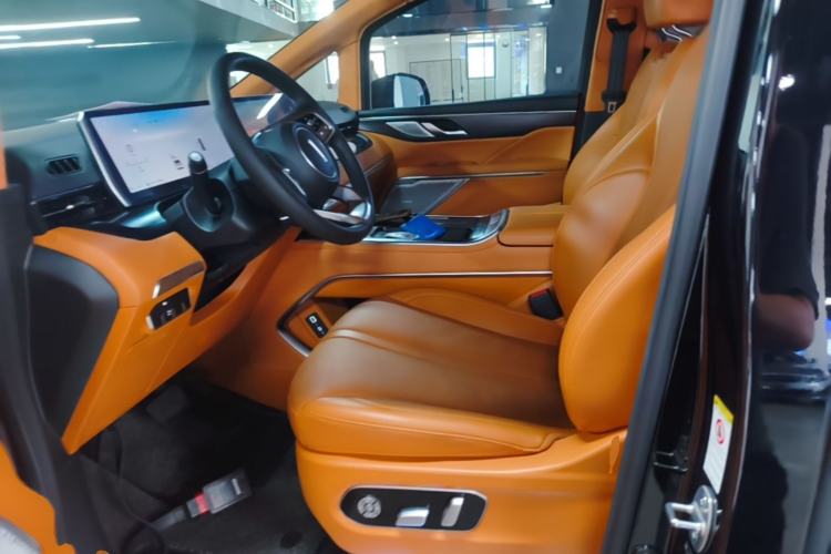 Used Wey Gaoshan 2023 Four-Wheel-Drive Executive Extended Version Left Front Seat
