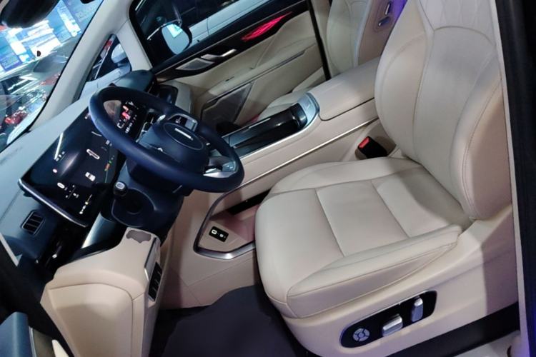 Used Wey Gaoshan 2023 Four-Wheel Drive Flagship Edition Left Front Seat
