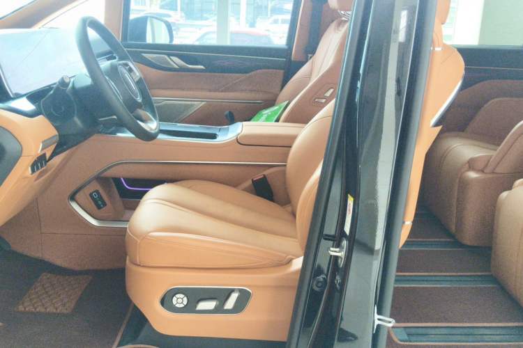 Used Wey Gaoshan 2023 Four-Wheel-Drive Executive Extended Version Left Front Seat