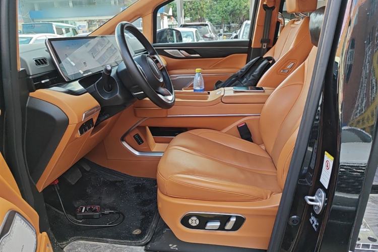 Used Wey Gaoshan 2023 Four-Wheel-Drive Executive Extended Version Left Front Seat