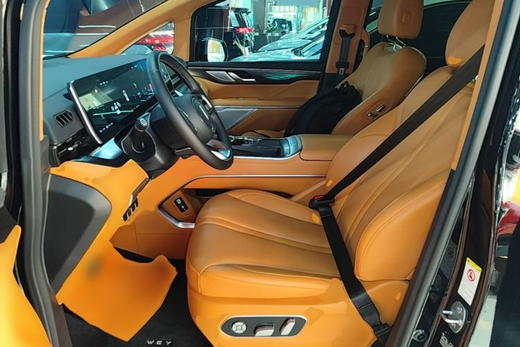 Used Wey Gaoshan 2023 Four-Wheel-Drive Executive Extended Version Left Front Seat