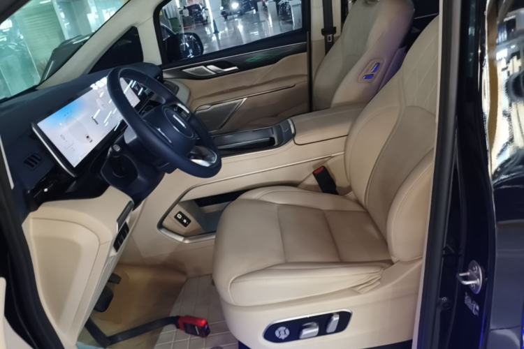 Used Wey Gaoshan 2023 Four-Wheel Drive Flagship Edition Left Front Seat