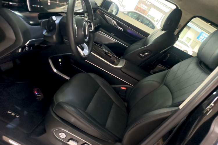 Used Wey Gaoshan 2023 Four-Wheel Drive Flagship Edition Left Front Seat