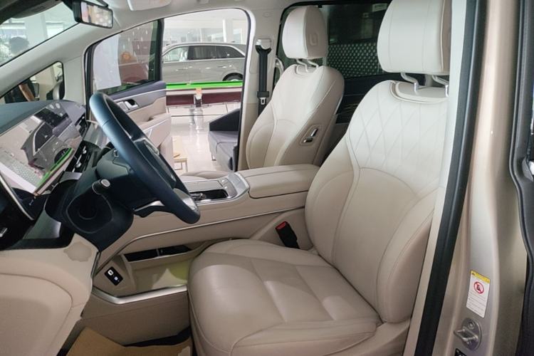 Used Wey Gaoshan 2023 Four-Wheel Drive Flagship Edition Left Front Seat