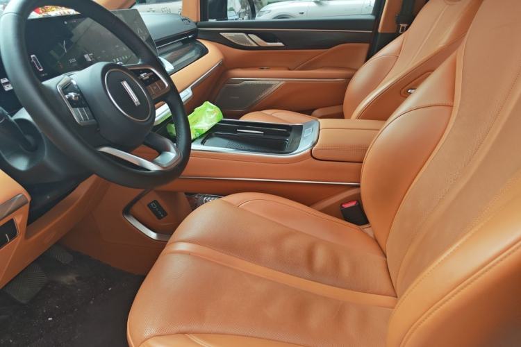 Used Wey Gaoshan 2023 Four-Wheel-Drive Executive Extended Version Left Front Seat