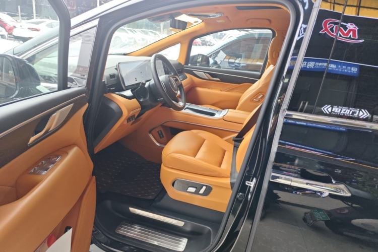 Used Wey Gaoshan 2023 Two-Wheel Drive Deluxe Edition Left Front Seat