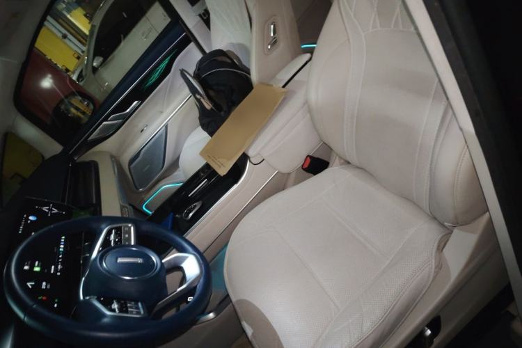 Used Wey Gaoshan 2023 Four-Wheel Drive Flagship Edition Left Front Seat