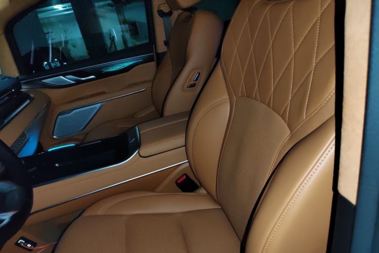 Used Wey Gaoshan 2023 Four-Wheel Drive Flagship Edition Left Front Seat