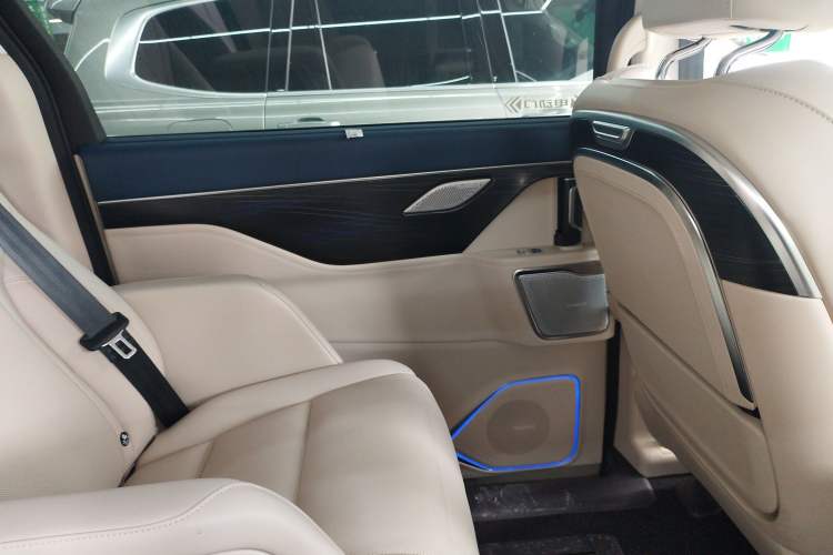 Used Wey Gaoshan 2023 Four-Wheel Drive Flagship Edition Left Rear Door Interior