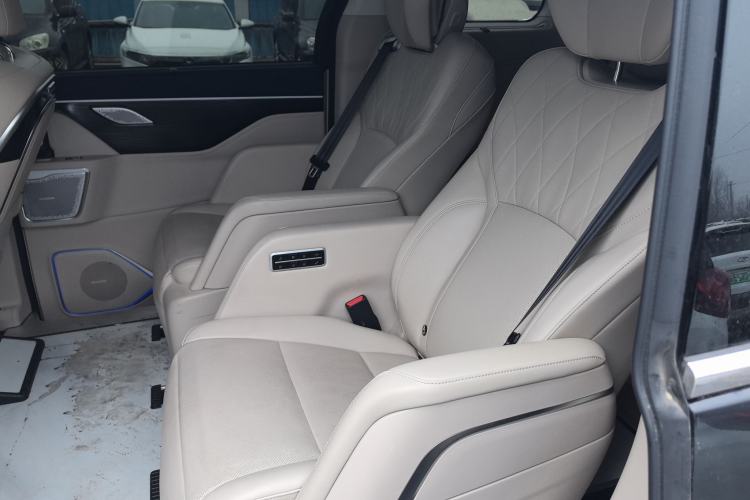 Used Wey Gaoshan 2023 Four-Wheel Drive Flagship Edition Left Rear Seat