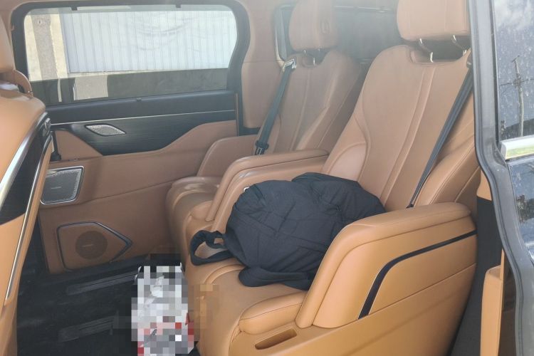Used Wey Gaoshan 2023 Four-Wheel-Drive Executive Extended Version Left Rear Seat