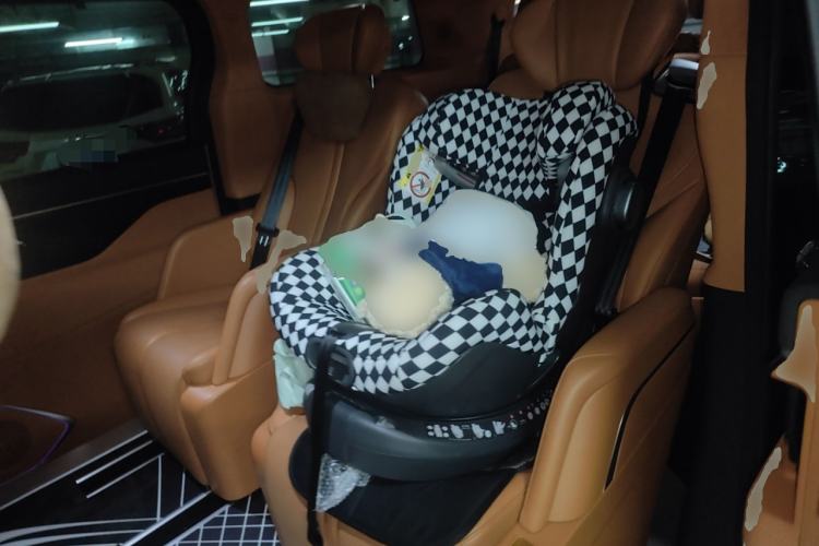Used Wey Gaoshan 2023 Four-Wheel-Drive Executive Extended Version Left Rear Seat