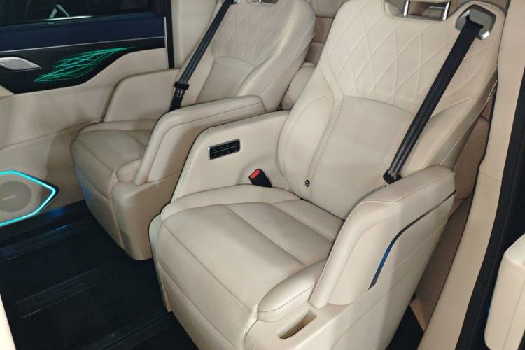 Used Wey Gaoshan 2023 Four-Wheel Drive Flagship Edition Left Rear Seat