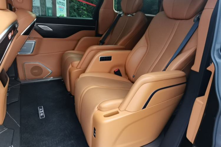 Used Wey Gaoshan 2023 Four-Wheel-Drive Executive Extended Version Left Rear Seat