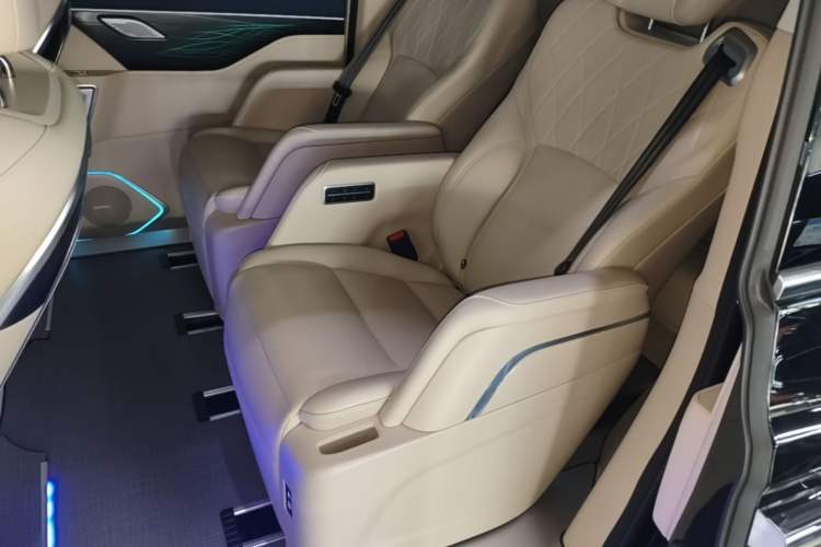 Used Wey Gaoshan 2023 Four-Wheel Drive Flagship Edition Left Rear Seat