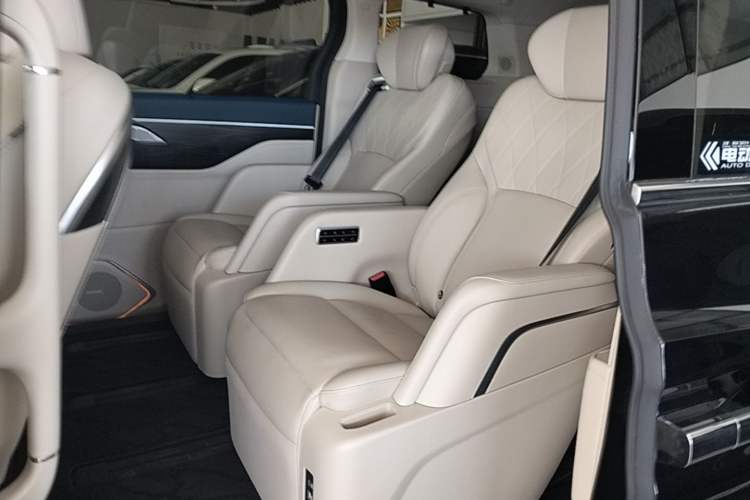 Used Wey Gaoshan 2023 Four-Wheel Drive Flagship Edition Left Rear Seat