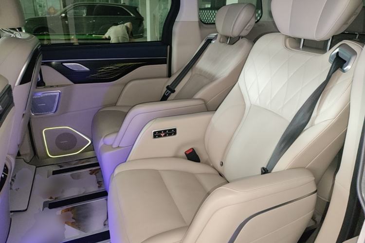 Used Wey Gaoshan 2023 Four-Wheel Drive Flagship Edition Left Rear Seat