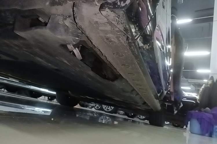 Used Wey Gaoshan 2023 Four-Wheel-Drive Executive Extended Version Left Side Sill