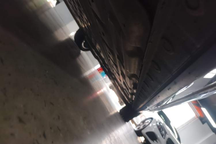 Used Wey Gaoshan 2023 Four-Wheel-Drive Executive Extended Version Left Side Sill