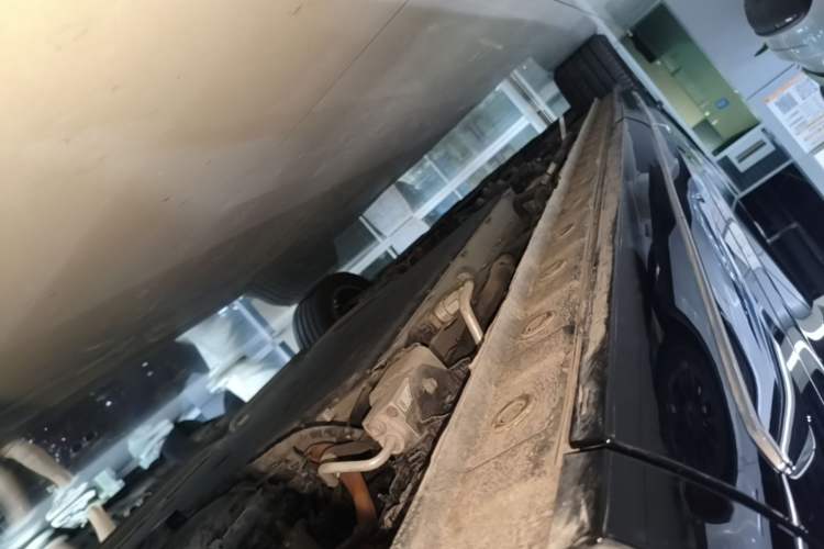 Used Wey Gaoshan 2023 Four-Wheel Drive Flagship Edition Left Side Sill