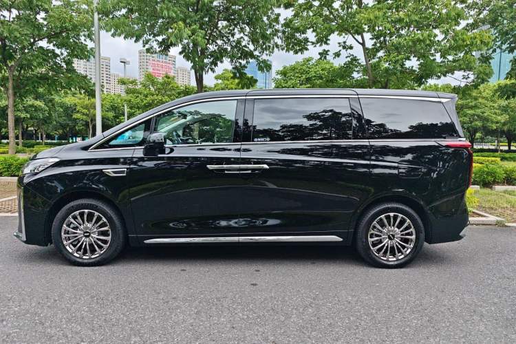 Used Wey Gaoshan 2023 Four-Wheel Drive Flagship Edition Left Side
