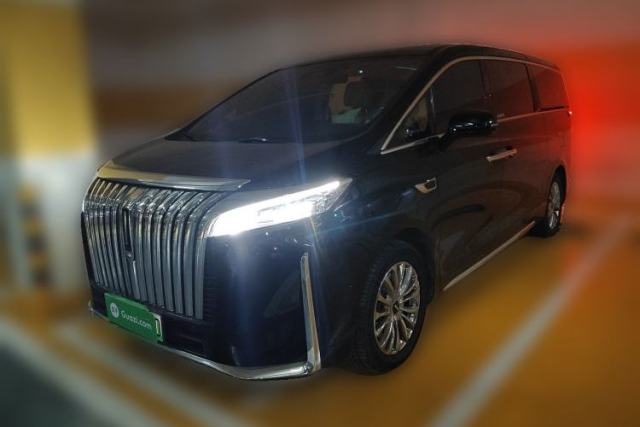 Used Wey Gaoshan 2023 Four-Wheel-Drive Executive Extended Version