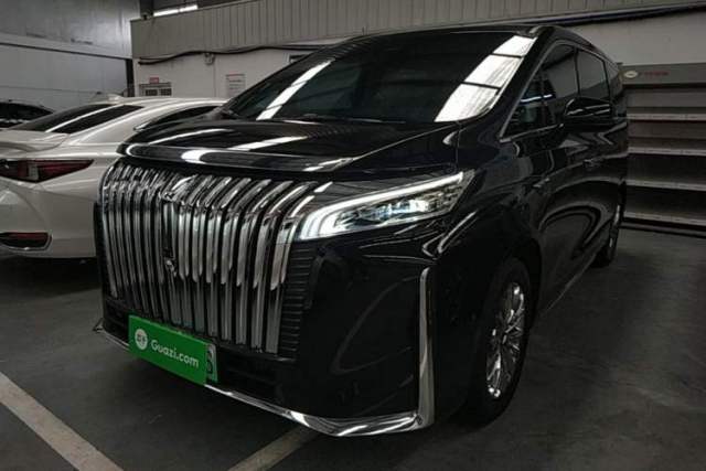 Used Wey Gaoshan 2023 Four-Wheel Drive Flagship Edition