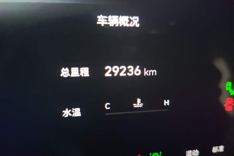 Used Wey Gaoshan 2023 Four-Wheel-Drive Executive Extended Version Odometer Close Up