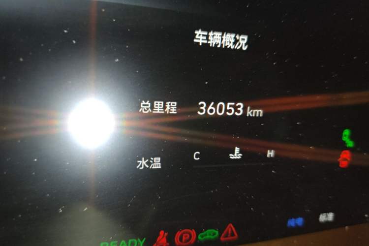 Used Wey Gaoshan 2023 Four-Wheel-Drive Executive Extended Version Odometer Close Up