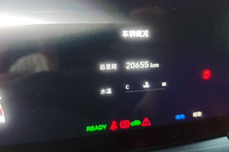 Used Wey Gaoshan 2023 Four-Wheel-Drive Executive Extended Version Odometer Close Up