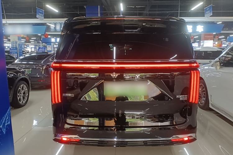 Used Wey Gaoshan 2023 Four-Wheel-Drive Executive Extended Version Rear