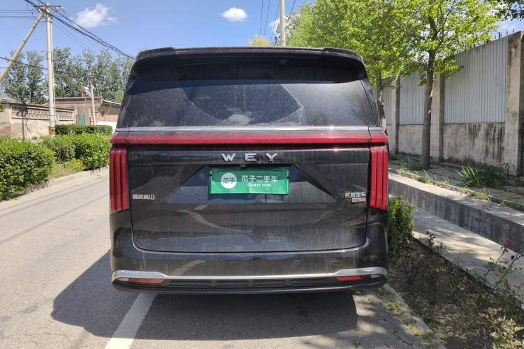 Used Wey Gaoshan 2023 Four-Wheel-Drive Executive Extended Version Rear