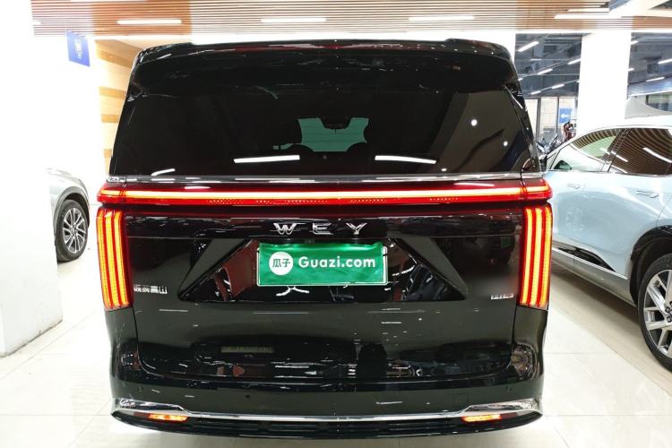 Used Wey Gaoshan 2023 Four-Wheel-Drive Executive Extended Version Rear