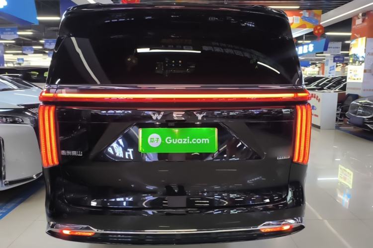 Used Wey Gaoshan 2023 Four-Wheel-Drive Executive Extended Version Rear