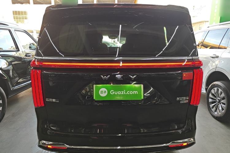 Used Wey Gaoshan 2023 Four-Wheel-Drive Executive Extended Version Rear