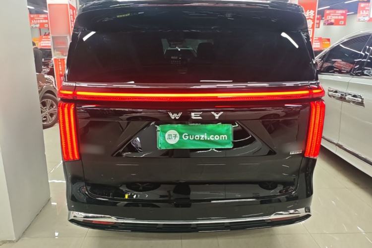 Used Wey Gaoshan 2023 Four-Wheel-Drive Executive Extended Version Rear