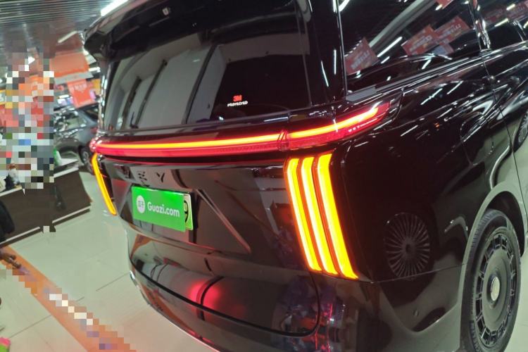 Used Wey Gaoshan 2023 Four-Wheel Drive Flagship Edition Rear