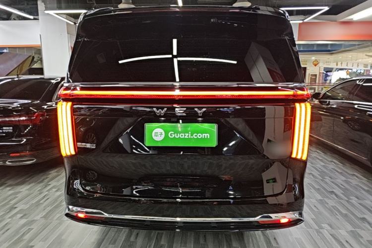 Used Wey Gaoshan 2023 Four-Wheel-Drive Executive Extended Version Rear