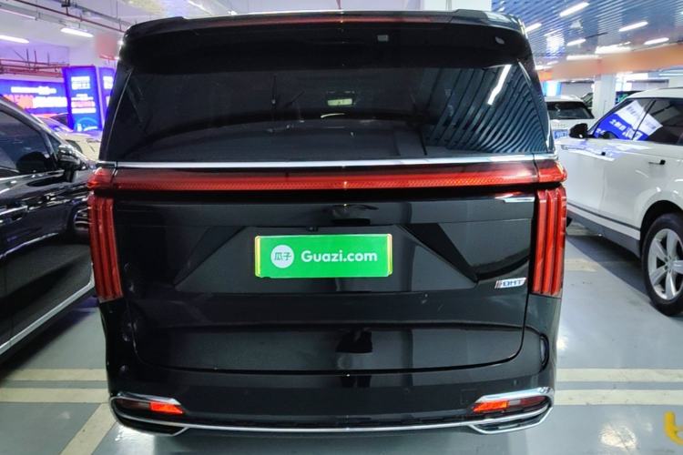 Used Wey Gaoshan 2023 Four-Wheel Drive Flagship Edition Rear