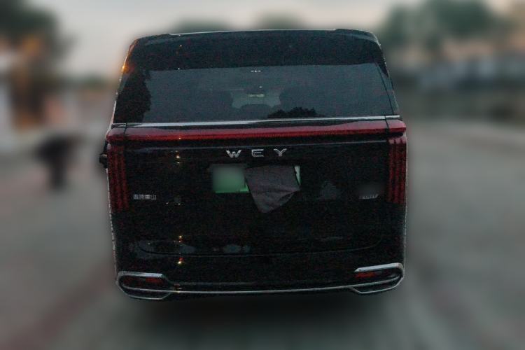 Used Wey Gaoshan 2023 Four-Wheel Drive Flagship Edition Rear