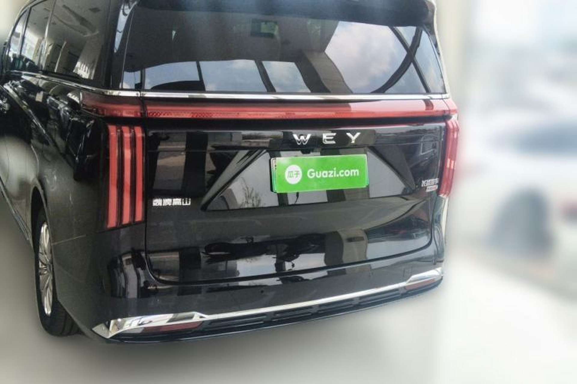 Used Wey Gaoshan 2023 Four-Wheel-Drive Executive Extended Version Rear