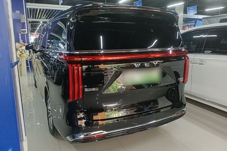 Used Wey Gaoshan 2023 Four-Wheel-Drive Executive Extended Version Rear Left 45 Deg