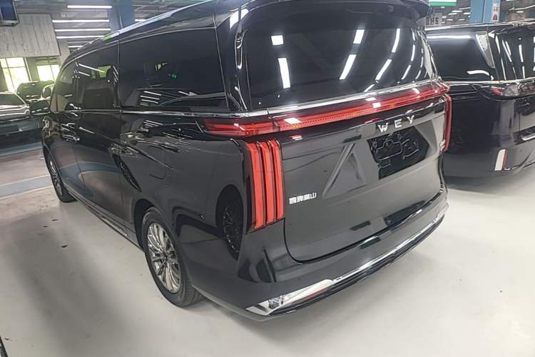 Used Wey Gaoshan 2023 Four-Wheel-Drive Executive Extended Version Rear Left 45 Deg