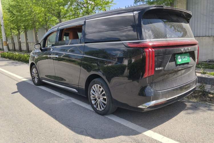 Used Wey Gaoshan 2023 Four-Wheel-Drive Executive Extended Version Rear Left 45 Deg